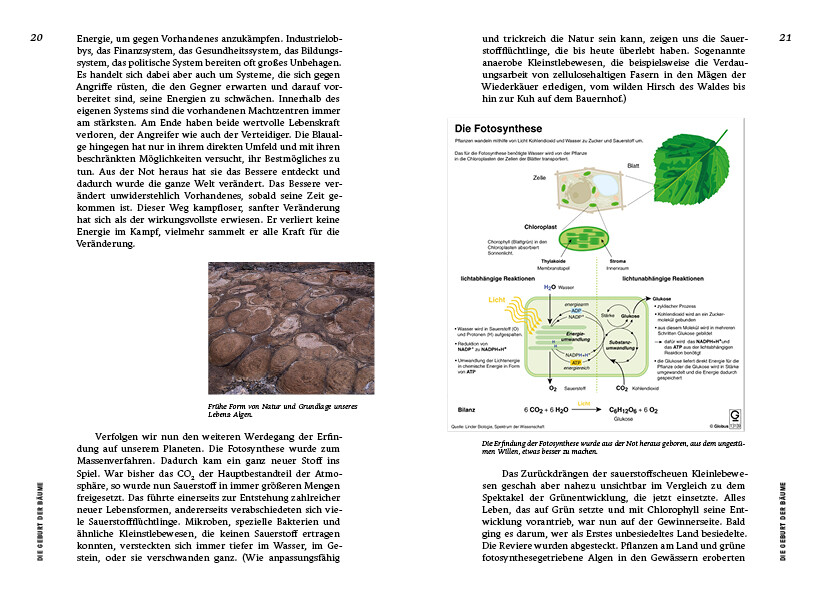 Thumbnail - Strategien Der Natur Erwin Thoma