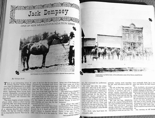 1976 QUARTER HORSE JOURNAL Magazine - LUCKY BAR - SONNY GO LUCKY - DECK JACK - Picture 8 of 24