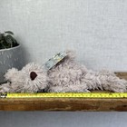 Bild 15 von 15