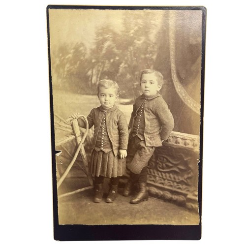 Antique Cabinet Card Photograph Cute Young Boys Schnack Family Portrait - Picture 1 of 3