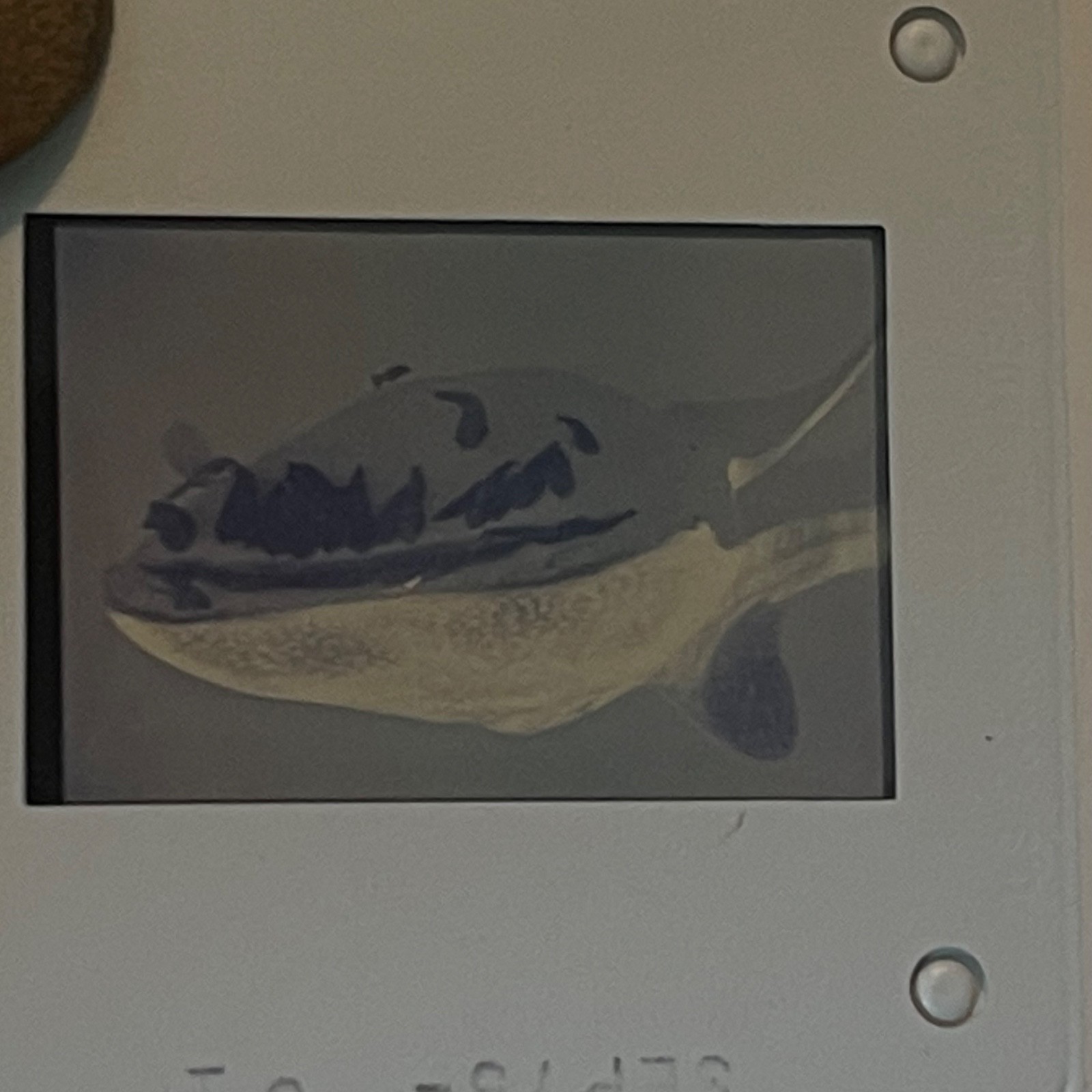 Picture 9 of 17