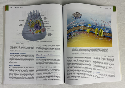 Admission Assessment Exam Review By HESI Paperback Edition 5 Elsevier -Very Good - Picture 3 of 3