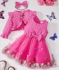 Toddler Girls Clothing Pink Butterfly Mesh Dress & Jacket 12-18 months New