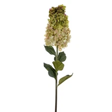 Vickerman FM228104 35.5 in. Cone Hydrangea Spray, Light Green - 2 per Bag