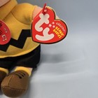 Foto 5 di 9