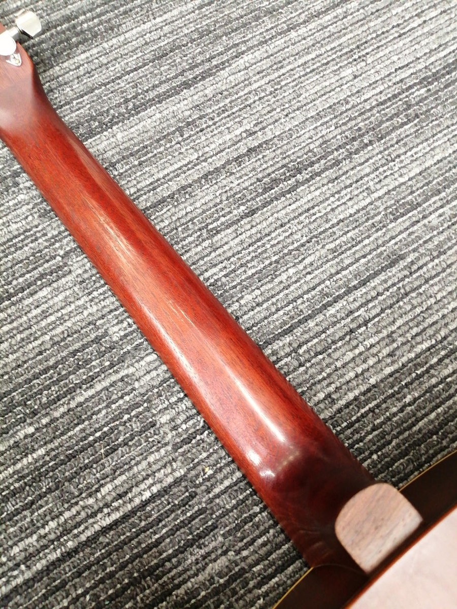 SEAGULL / S6+TOBACCO-BURST | eBay