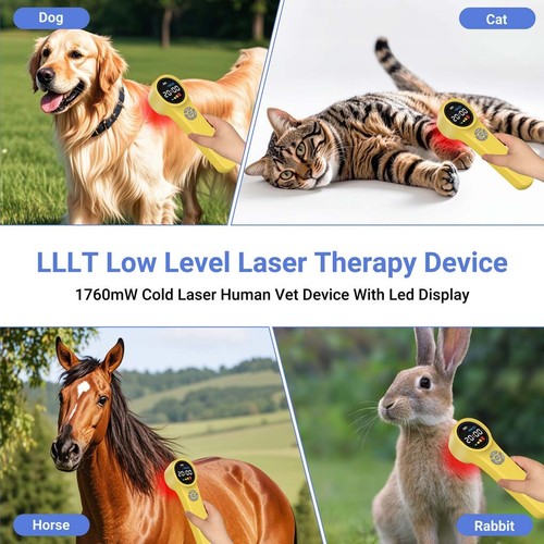 Handheld Infrared Red Light Laser Therapy 1760mW for Skin Collagen Tissue Repair - Foto 6 di 18