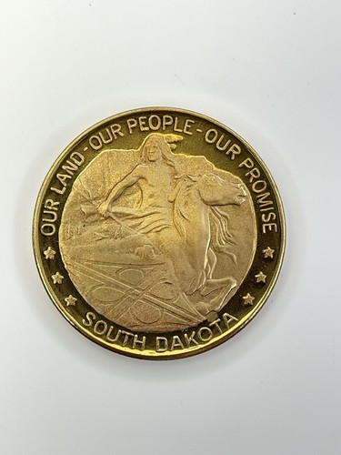 1973 Official South Dakota Medallion US Bicentennial Coin Token Medal 1776-1976 - 第 2/6 張圖片