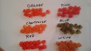 Fresh-Tied-Salmon-Egg-Sacks-Steelhead-Trout-Spawn-Skein-5-Dozen-Packages