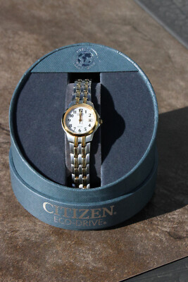 Citizen Silhouette wr100 Date model