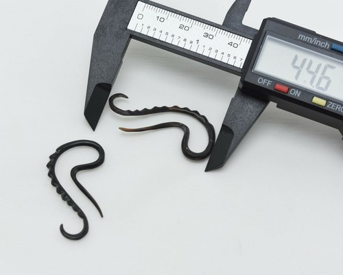 Paar 10 Stärke 10g 2mm Bio Handgeschnitzt Hänge Ohrringe Horn Bernstein Mehr - Bild 8 von 19