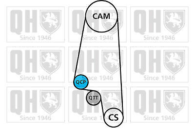 FOR SEAT IBIZA 6K1 1.0 96 to 02 Set Timing Belt & Water Pump Kit - Picture 2 of 2