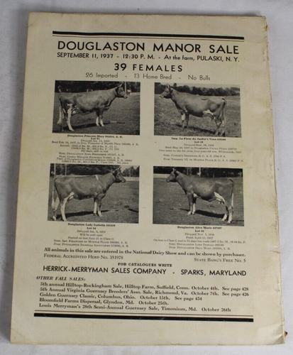 Guernsey Breeders Journal September 1, 1937 Cow Calf Bull Farms Cattle Dairy Ads - Imagen 4 de 21