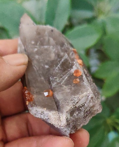 Granate espesartina brillante natural 122 g sobre cuarzo ahumado Yunxiao Fujian China 1 - Imagen 18 de 18