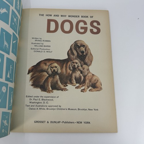 How & Why Wonder Book of Dogs Vintage EUC Illustrated Softcover Kinderbuch - Bild 3 von 4
