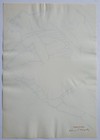 Bild 7 von 8