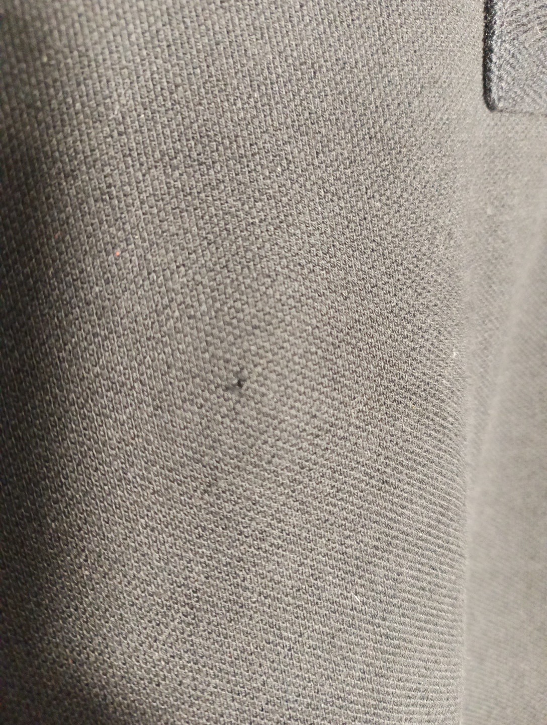 Picture 13 of 13