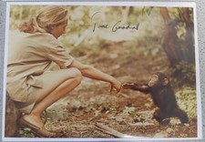 Jane Goodall Primatologist 8 X 10