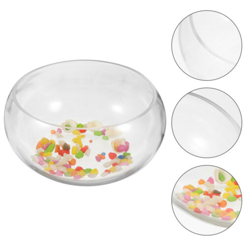 1 Set Hydroponic Plant Terrarium Glass Bowl Hydroponic Plant Planter And Pebble - Picture 5 of 12