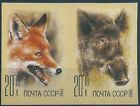 17509 Russia Ussr Fauna Animal Mammal Fox Wild Boar Imperforated