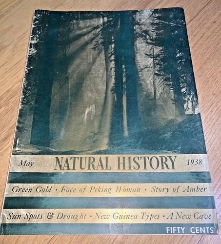 May 1938 NATURAL HISTORY Magazine PEKING WOMAN / AMBER / FORESTS / NEW GUINEA - Picture 1 of 12