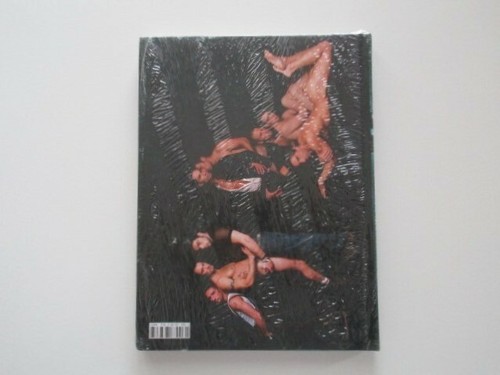 GIGOLOS - MICHAEL LUCAS - BRUNO GMUNDER - GAY PHOTOGRAPHY - Picture 2 of 2