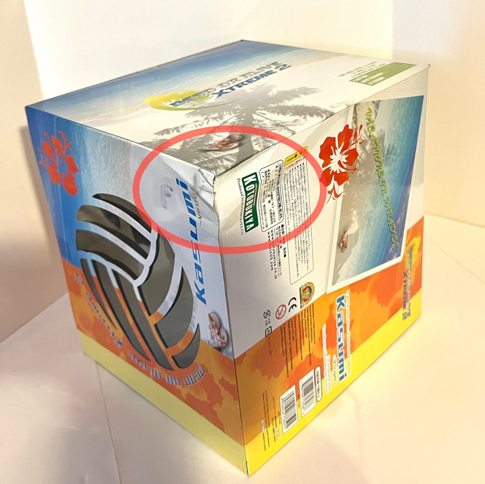 Bild 11 von 12