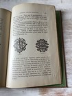 Foto 11 di 11