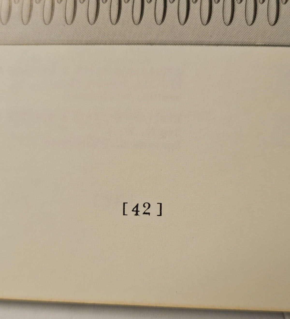 Foto 11 di 13