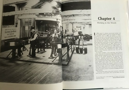 Schlägel an der Küste von Mendocino - Caspar Lumber Co-Eisenbahnen & Dampfschiffe / Ted Wurm - Bild 6 von 12