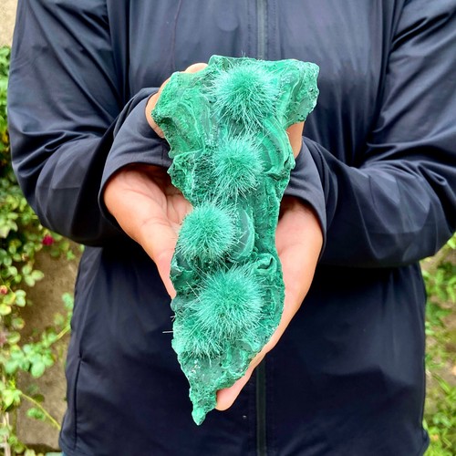 438G indian dandelion zeolite+glossy Malachite cat's eye Mineral Specimen - Picture 6 of 18