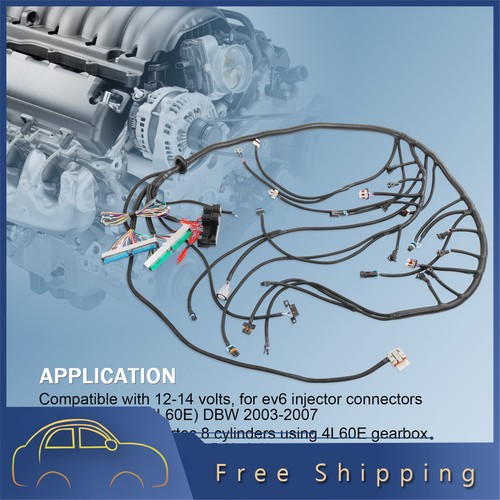 For GM LS1 Vortec 97-04 4.8 5.3 6.0 LS Swap Standalone Wiring Harness 4L60E DBW - Bild 10 von 10
