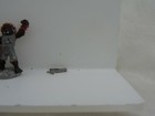 Picture 5 of 8