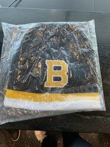 black dog bruins hat
