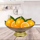 Portable Fruit Draining Bowl High Holder Household Dried Fruit Plate