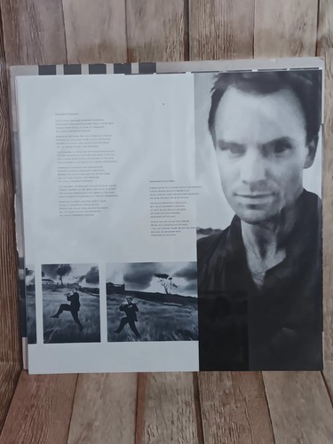 Sting DREAM OF THE BLUE TURTLES Vinyl LP A&M SP-3750 US 1985 VG/VG - Picture 6 of 12