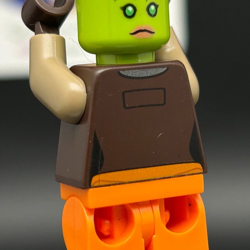 LEGO BRAND Hera Syndulla sw0576 STAR WARS MINIFIGURE with Blaster 75053 75127 - Picture 13 of 13