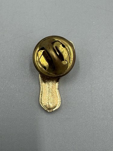 Gold Colored Foot Print Podiatrists Lapel Pin - Picture 2 of 3