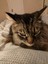 anhu_89