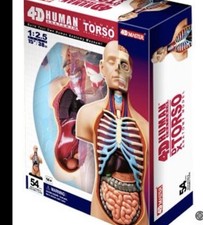 NEW Open Box 4D Vision Deluxe Human Torso Model 54 Parts Anatomy Kit w/ Stand