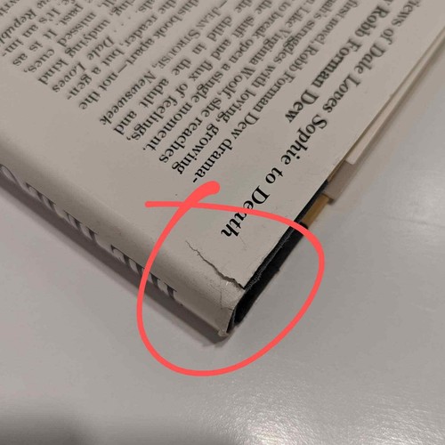 The Time of Her Life (1982, Hardcover) – Robb Forman Dew [Literary Fiction] - Imagen 7 de 7