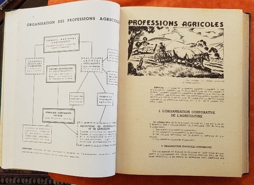 LIVRE D'OR de L'ACTIVITÉ FRANÇAISE Roussillon Bas-Languedoc et Aveyron 1942 - Imagen 7 de 11