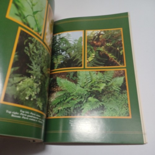 Ferns for the Home and Garden by Gillian Dunk (Paperback, 1983) Free Postage Au - Picture 8 of 12