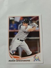 2013 Topps Baseball Card Adam Greenberg 253 Rookie mini