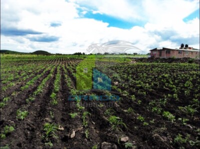 6 HECTÁREAS EN VENTA IDEALES PARA SIEMBRA DE TEMPORAL CON CASA DE CAMPO