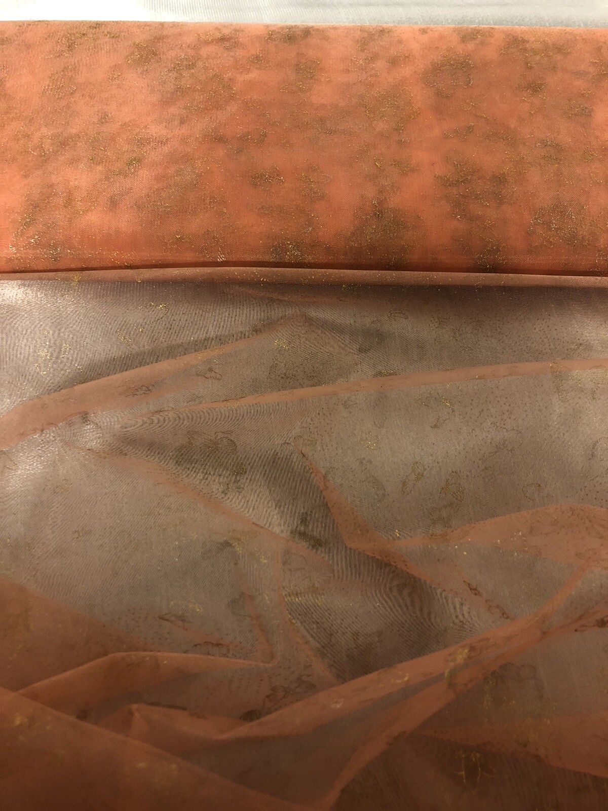 Picture 4 of 5