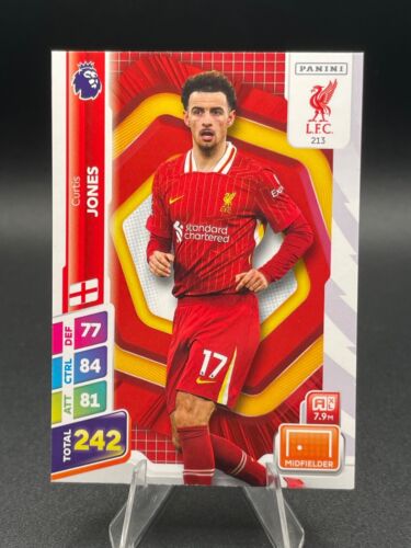 Cards 190-369 Panini Plus Adrenalyn XL 2024/2025 24/25 Leicester to Wolves - Picture 25 of 179