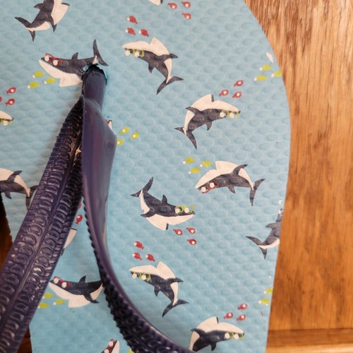 Chanclas West Loop Shark para niños talla mediana 2/3 nuevas - Imagen 2 de 2