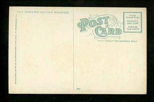 Animal postcard pig razor back Florida River Vintage - Picture 2 of 2