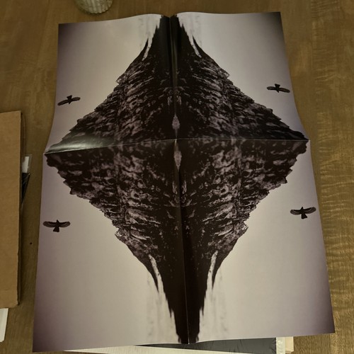 Muscle for Wing by The Maldives (2012) NM- Missing Download - Picture 5 of 5